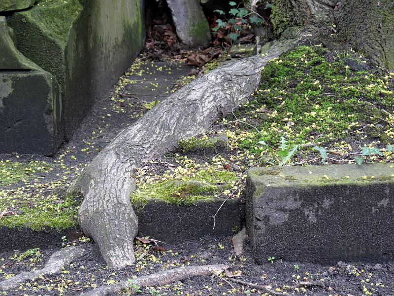 2011-04-16, Eliasfriedhof (55).JPG